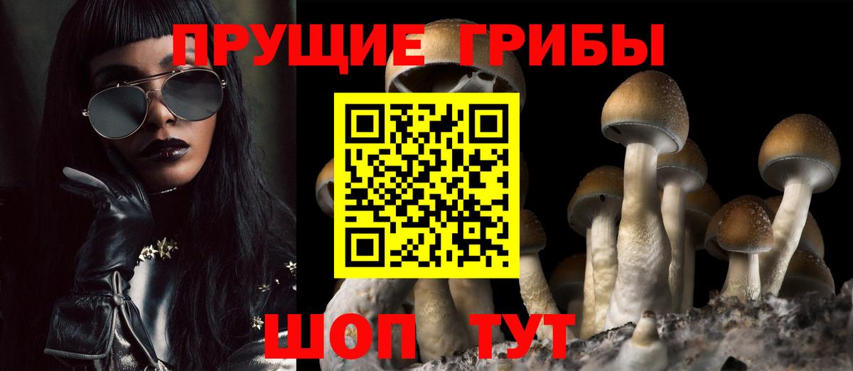 Псилоцибиновые грибы мухоморы Усть-Илимск